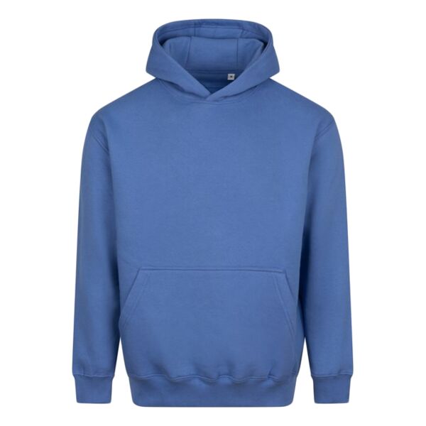 Vision heavyweight hoodie Thumbnail